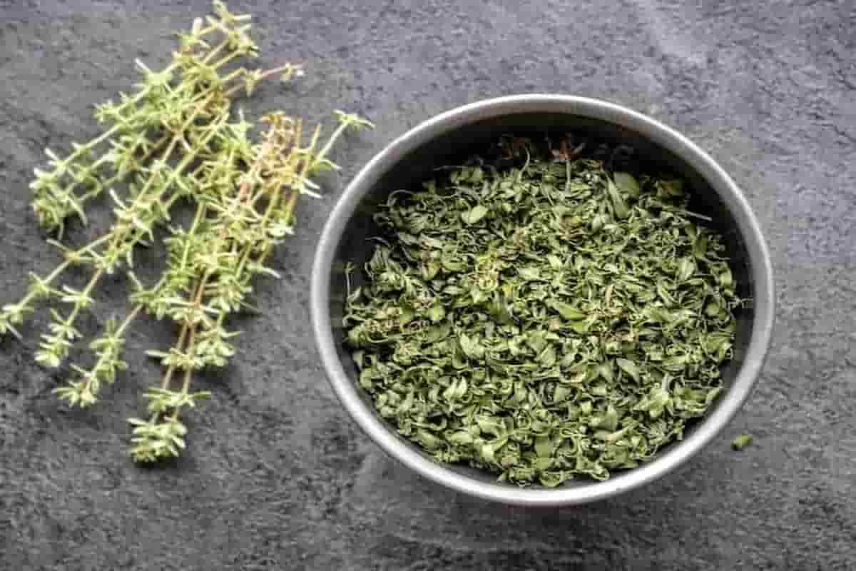 خرید و قیمت آویشن باریک کوهی + فروش عمده